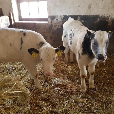 Ferienwohnung Mit Bauernhofflair Löbau Kültér fotó