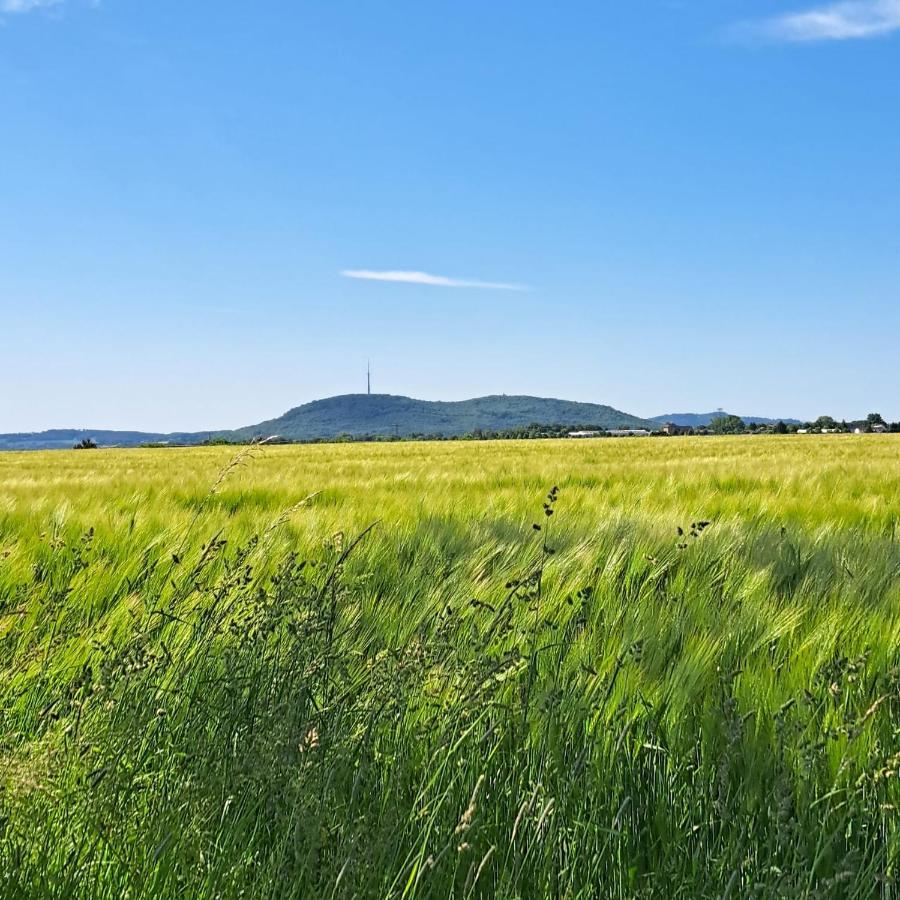 Ferienwohnung Mit Bauernhofflair Löbau Kültér fotó